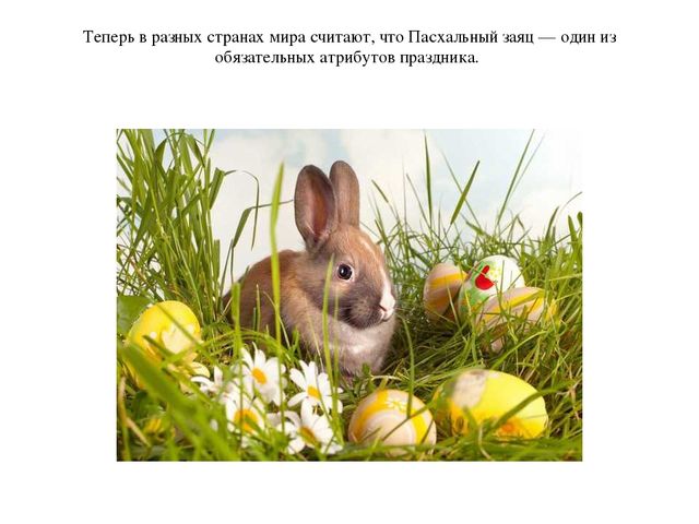Презентация по окружающему миру "Пасхальный заяц"