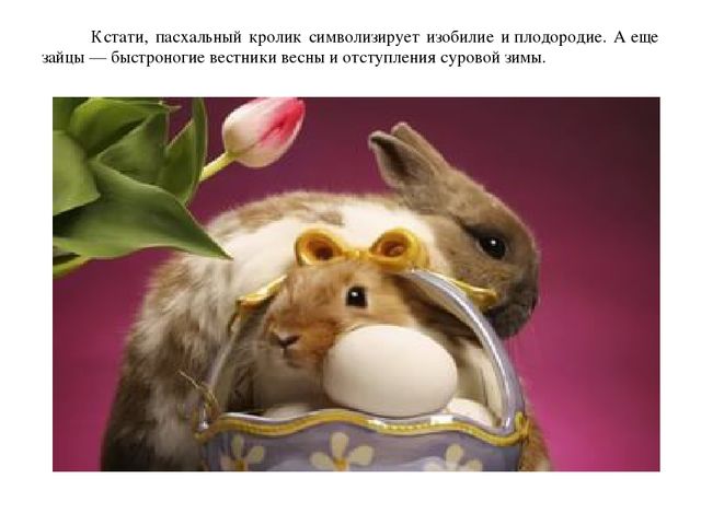 Презентация по окружающему миру "Пасхальный заяц"