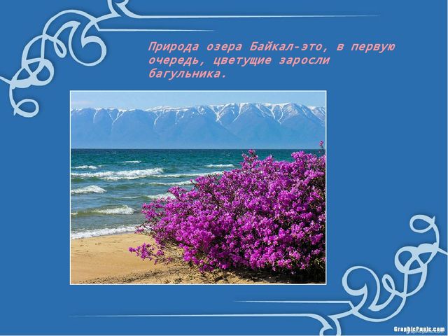 Презентация "Что мы знаем о Байкале?"