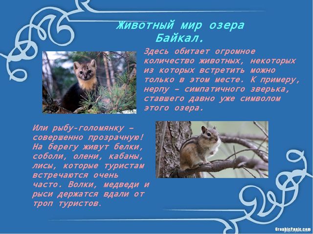 Презентация "Что мы знаем о Байкале?"