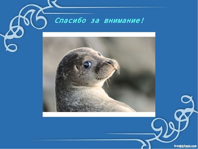 Презентация "Что мы знаем о Байкале?"