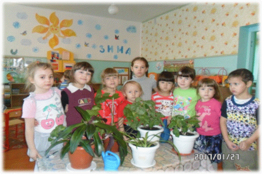 Picture 2