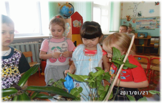 Picture 7