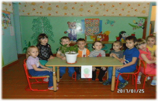 Picture 9
