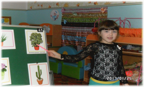 Picture 14
