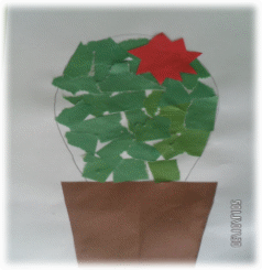 Picture 16