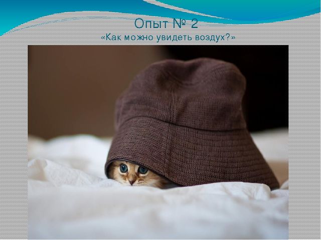 Презентация к НОД по экологии «Богатство нашей планеты Земля» (эксперимент с воздухом) старшая группа