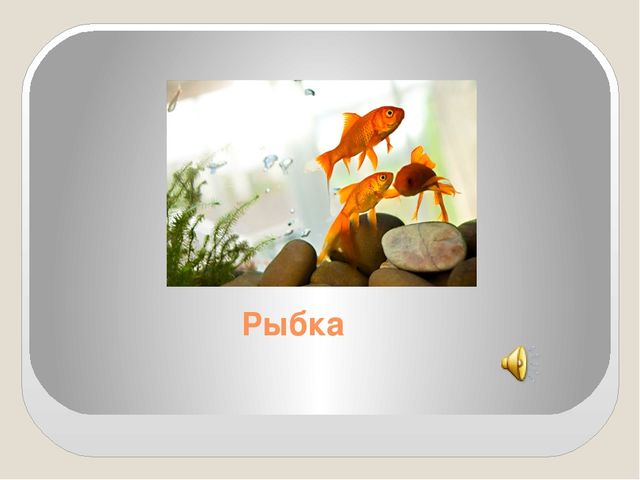 Изучаем домашних животных и их голоса