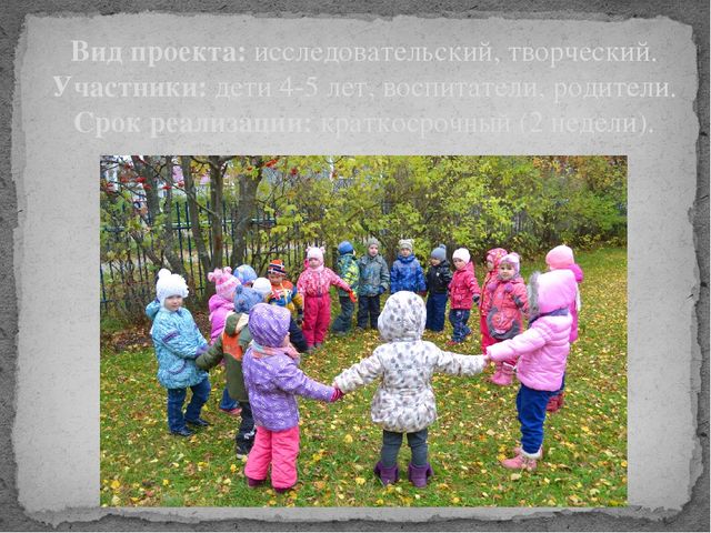 Экологический проект «Деревья вокруг нас»