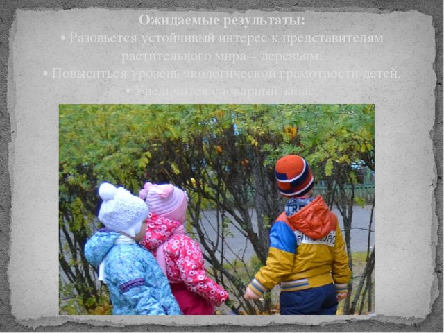 Экологический проект «Деревья вокруг нас»