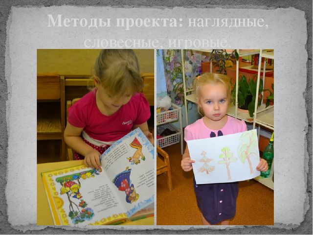 Экологический проект «Деревья вокруг нас»