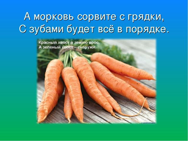 Итоговое непосредственно образовательная деятельность.Презентация."Почему у Мишки болит зубы "