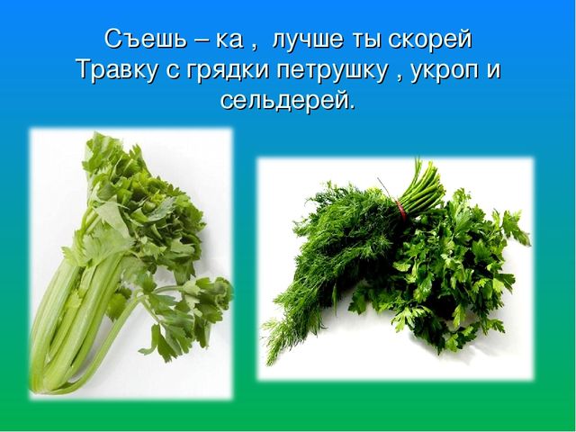 Итоговое непосредственно образовательная деятельность.Презентация."Почему у Мишки болит зубы "