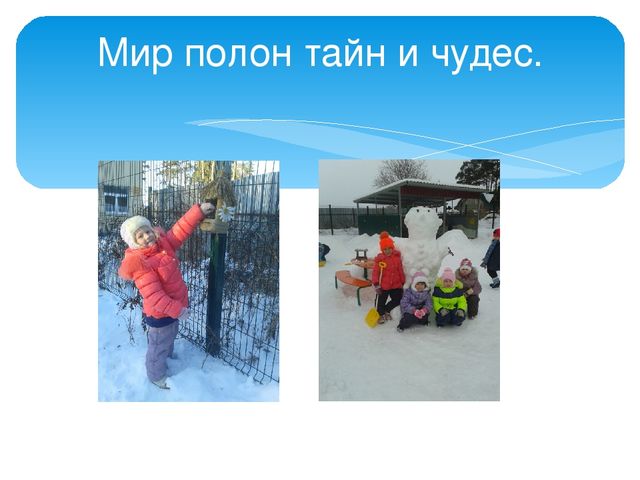 Педагогический проект - дом книги-презентация