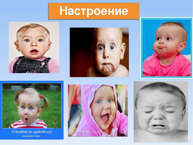 Конспект занятия с дошкольниками в подготовительной группе Путешествие в страну знаний