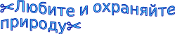 Shape1