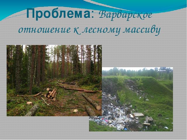 Проект по экологическому воспитанию «Экологическая тропа»