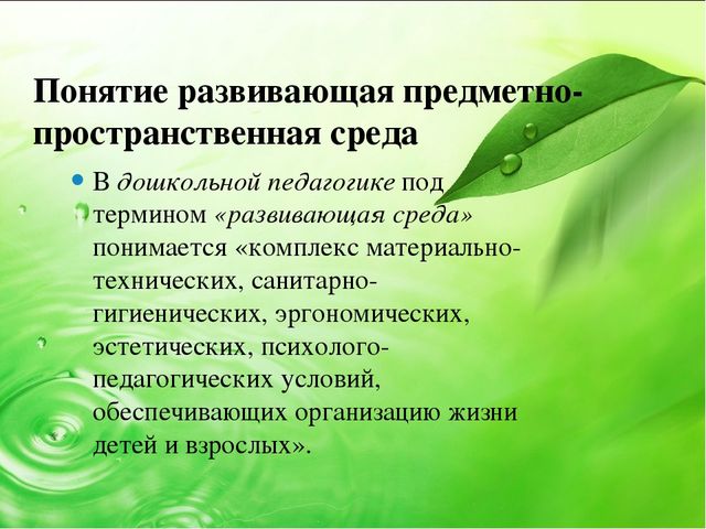 Презентация "Что вы знаете о развивающей предметно- пространственной среде в ДОУ в соответствии с ФГОС"
