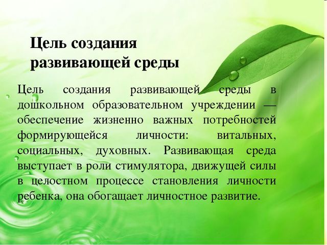 Презентация "Что вы знаете о развивающей предметно- пространственной среде в ДОУ в соответствии с ФГОС"