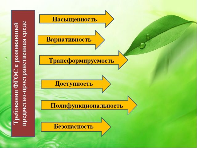 Презентация "Что вы знаете о развивающей предметно- пространственной среде в ДОУ в соответствии с ФГОС"