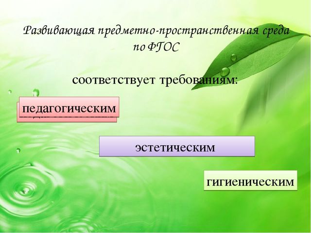 Презентация "Что вы знаете о развивающей предметно- пространственной среде в ДОУ в соответствии с ФГОС"
