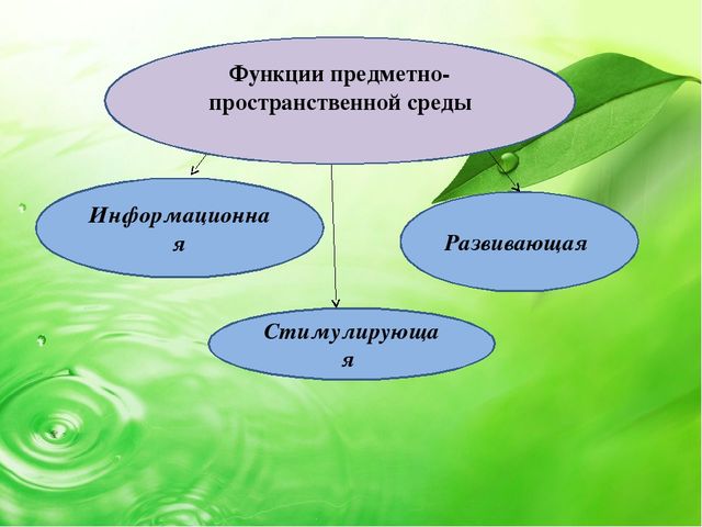 Презентация "Что вы знаете о развивающей предметно- пространственной среде в ДОУ в соответствии с ФГОС"