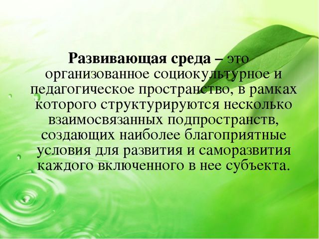 Презентация "Что вы знаете о развивающей предметно- пространственной среде в ДОУ в соответствии с ФГОС"
