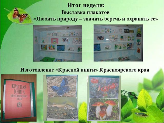 Презентация "экологический проект в ДОУ"