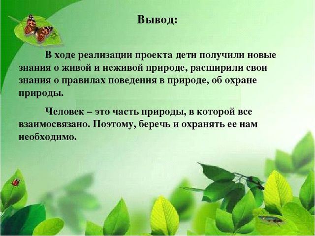 Презентация "экологический проект в ДОУ"