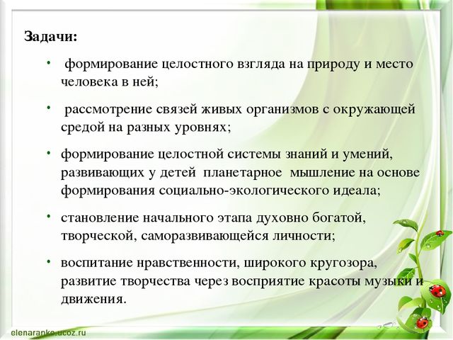 Презентация на тему «Музыкально-экологические игры»