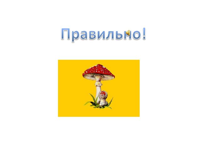 Презентация по ФЭМП "Четвертый лишний - 2"