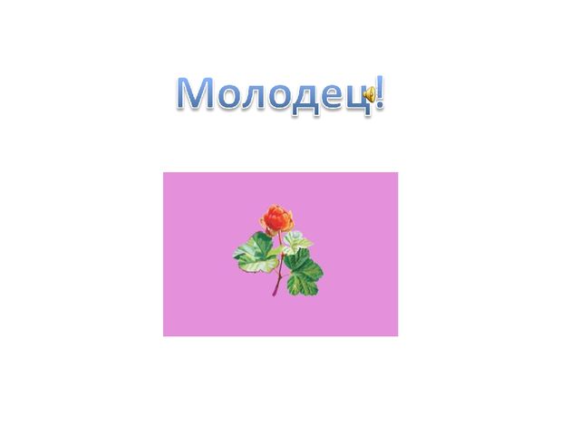 Презентация по ФЭМП "Четвертый лишний - 2"
