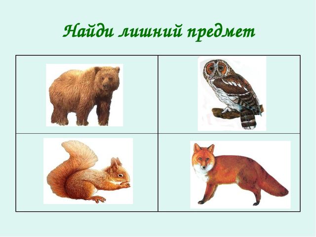 Презентация по ФЭМП "Четвертый лишний"