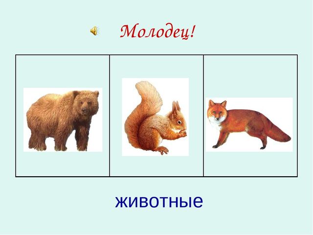 Презентация по ФЭМП "Четвертый лишний"