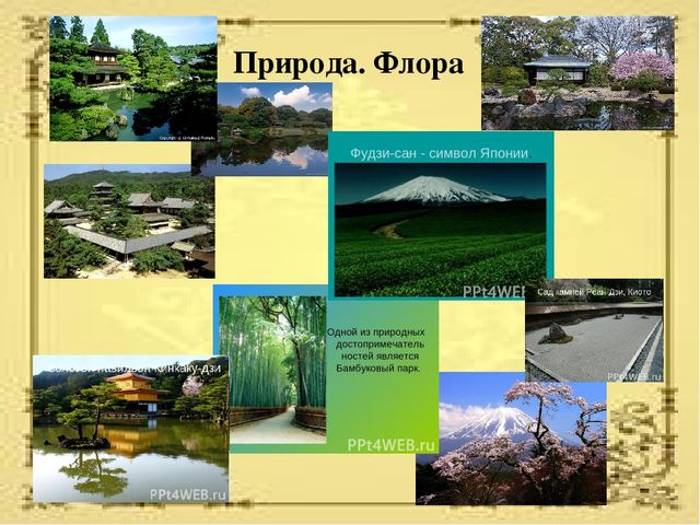 Презентация по ознакомлению с социальным миром для детей старшего дошкольного возраста "Страны мира"