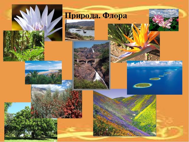 Презентация по ознакомлению с социальным миром для детей старшего дошкольного возраста "Страны мира"