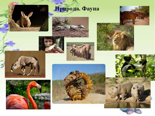 Презентация по ознакомлению с социальным миром для детей старшего дошкольного возраста "Страны мира"