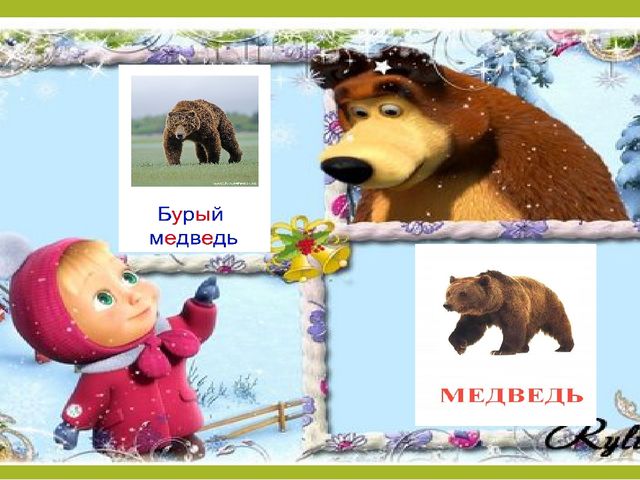 Презинтация "Дикие животные" 2 младшая