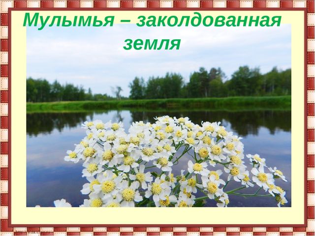 Презентация "Мулымья - заколдованная земля"