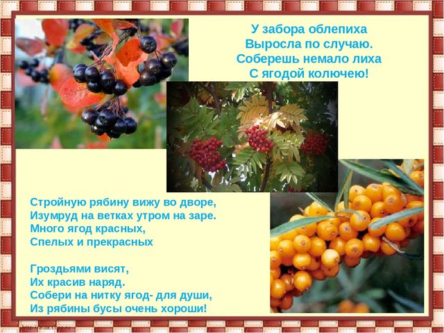 Презентация "Мулымья - заколдованная земля"