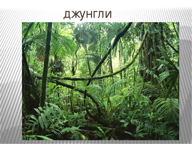 Презентация к занятию по окружающему миру "Путешествие в Америку"