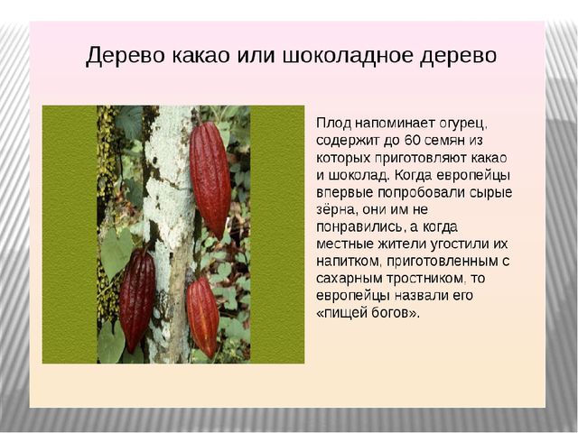 Презентация к занятию по окружающему миру "Путешествие в Америку"