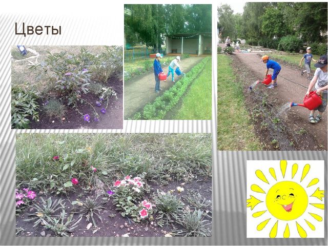Презентация "Как мы провели лето в детском саду"