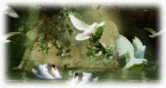 Picture 31