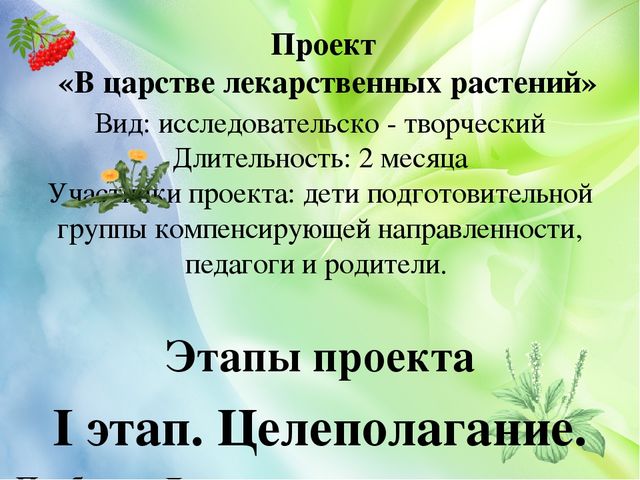 Презентация проекта "Лекарственные растения" (старший дошкольный возраст)
