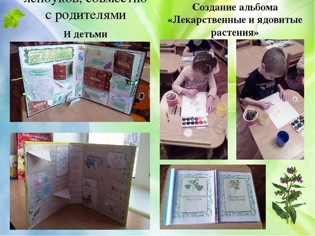 Презентация проекта "Лекарственные растения" (старший дошкольный возраст)
