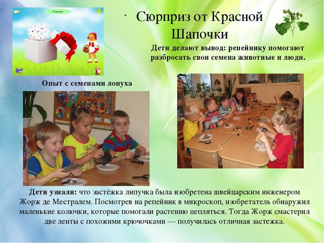 Презентация проекта "Лекарственные растения" (старший дошкольный возраст)