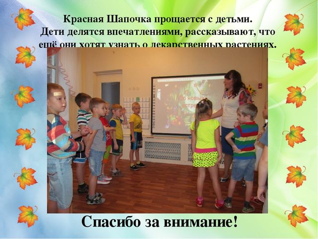 Презентация проекта "Лекарственные растения" (старший дошкольный возраст)