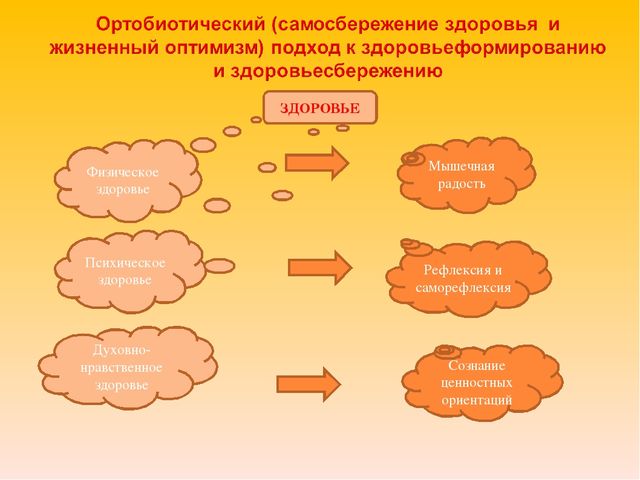 Презентация лекции "Здоровьесберегающие технологии"