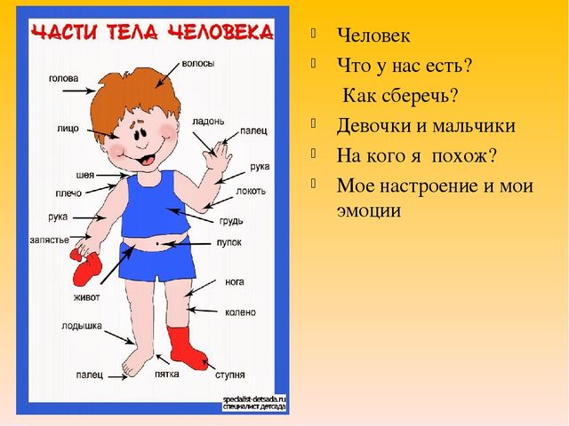 Презентация лекции "Здоровьесберегающие технологии"